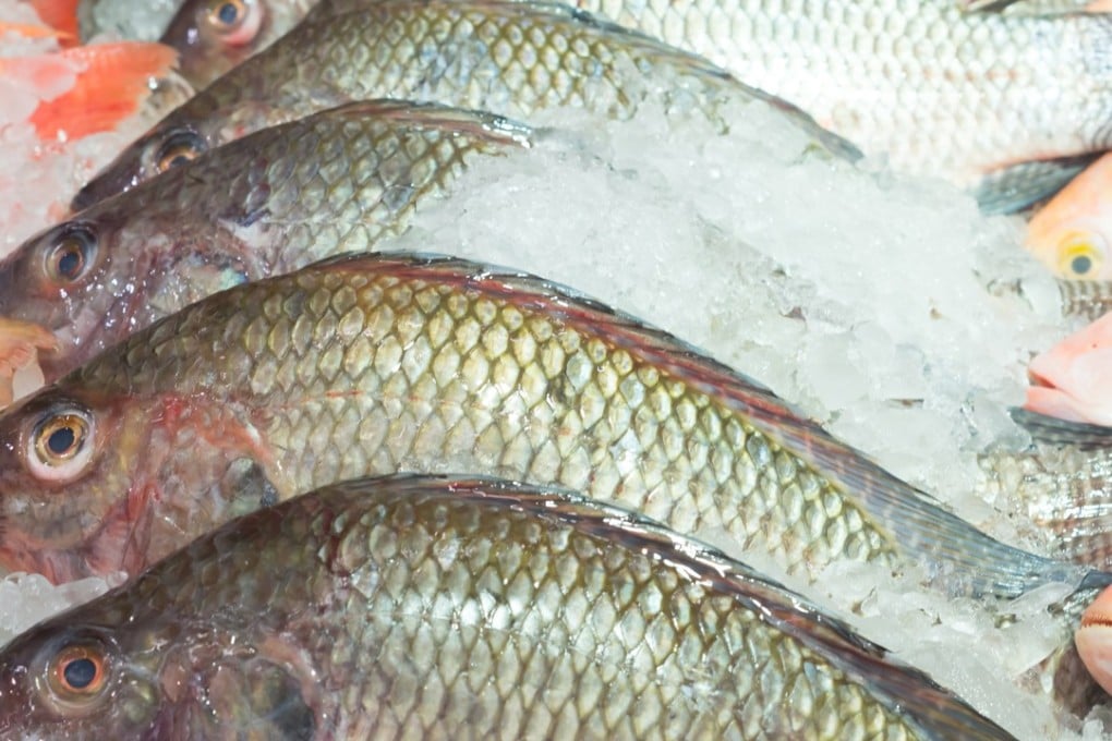 Frozen Red Tilapia fish in a supermarket. Photo: Shutterstock