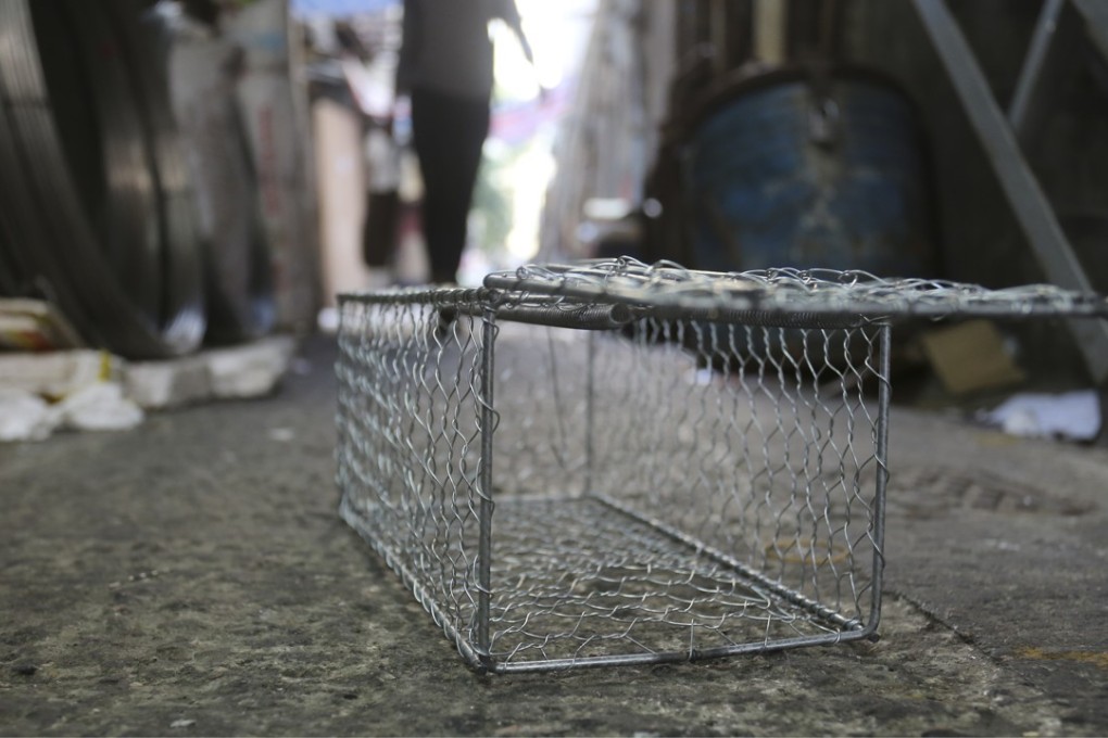 A rat trap on Shanghai Street. Photo: May Tse