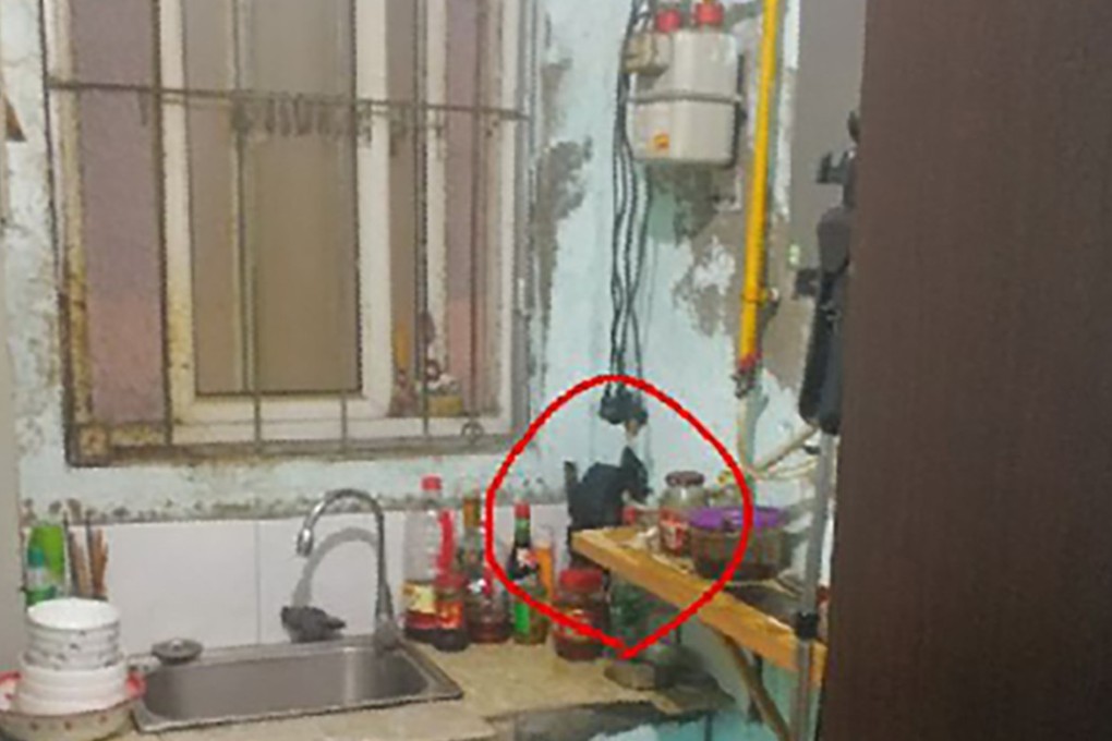 The guest house owner spied on guests through a hole in the kitchen wall. Photo: 163.com