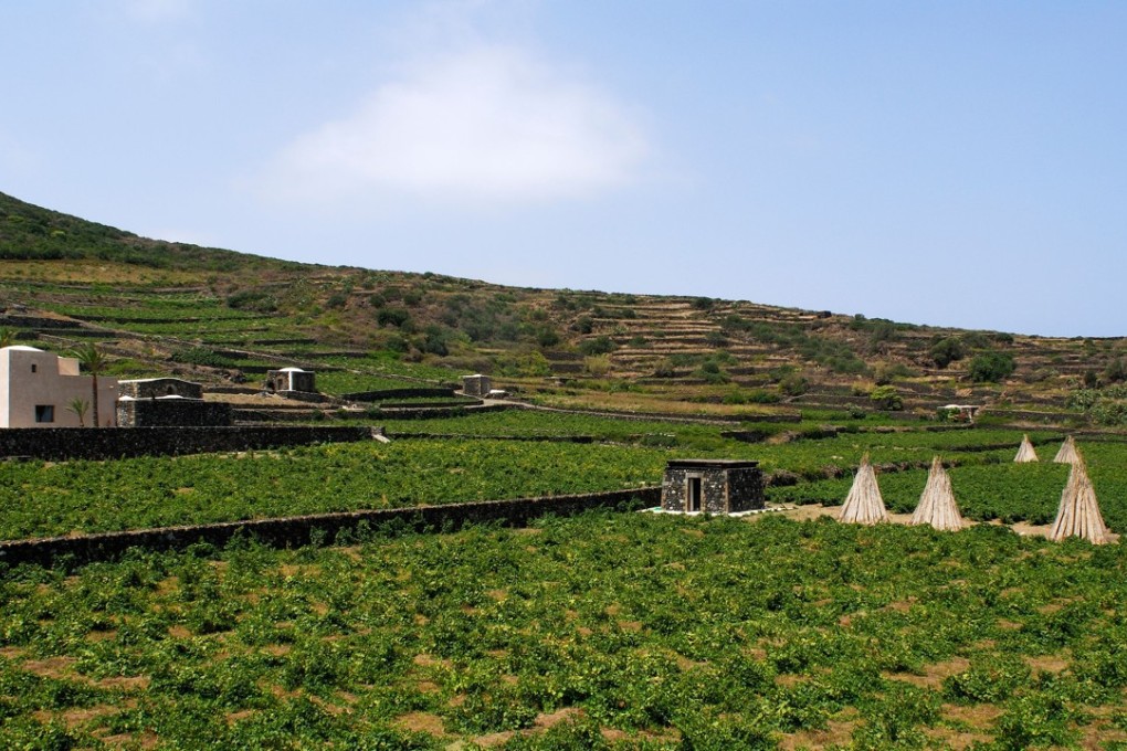 Donnafugata's vineyards and cellars on the island of Sicily.