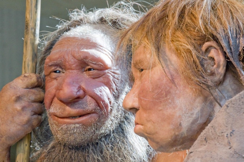 Reconstructions of a Neanderthal man and woman at the Neanderthal museum in Mettmann, Germany. Photo: AP
