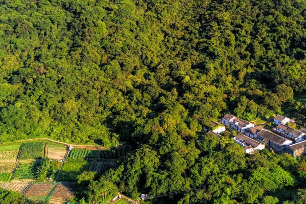 Pak Sha O is a traditional Hakka village, tucked away in a wooded valley near Hoi Ha. Photo: Martin Williams