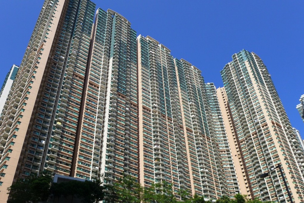 If humans have it tough in high-rise Hong Kong, spare a thought for their pet cats, who suffer multipile injuries if they fall from the window ledge or balcony of a flat.