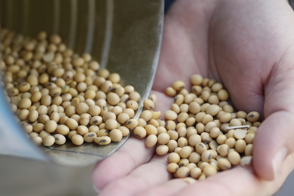 Soybean is one of the American products to be hit by Chinese tariffs. Photo: AP