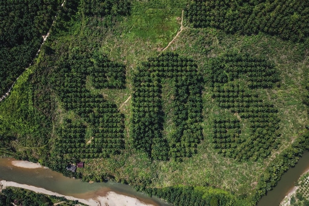 A giant SOS is carved into an oil palm plantation in Sumatra by Lithuanian artist Ernest Zacharevic to draw attention to the damage caused by deforestation to the wildlife and indigenous people of Indonesia. Photo: Reuters