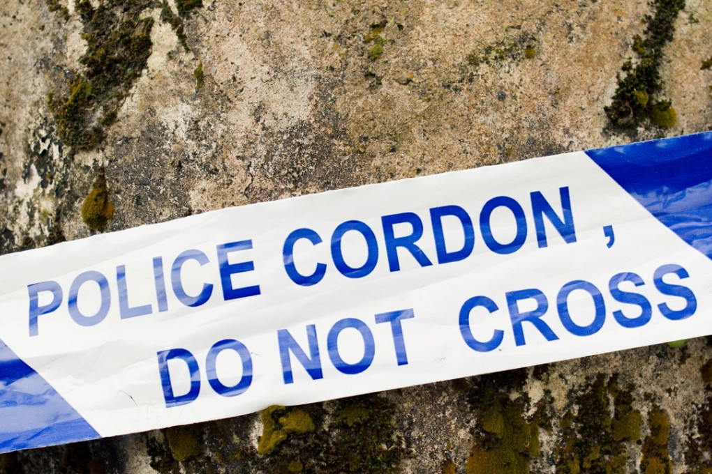 Despite a series of high-profile break-ins, such crimes have dropped in the city by 17.4 per cent to 808 in the first half of this year. Photo: Alamy