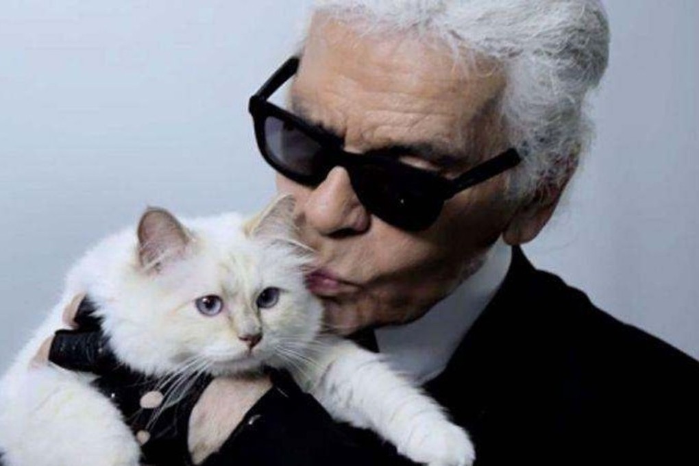 Choupette in the arms of her owner, Karl Lagerfeld – who told CNN he wished he could have married her.