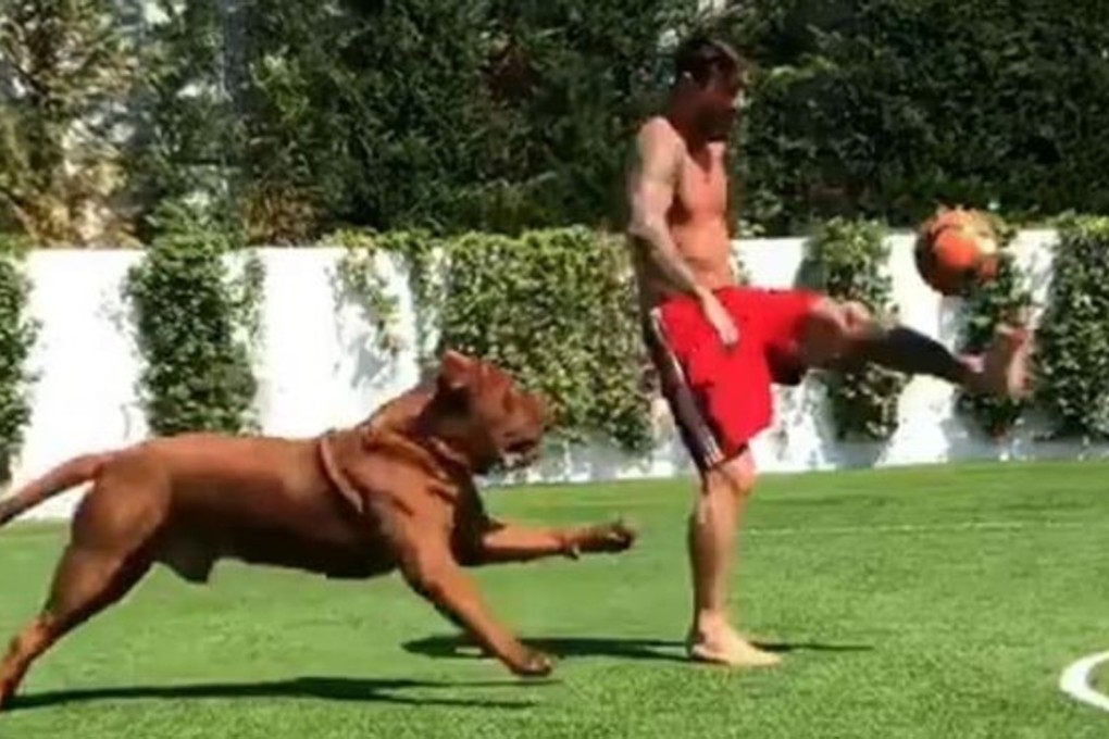 Lionel Messi plays keep away with a football from his dog Hulk. Photo: Twitter