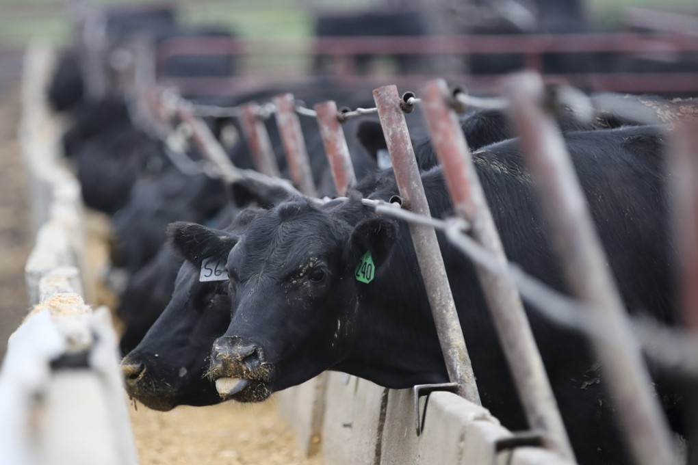 China lifted an embargo on US beef last June that had been in place since 2003 over the “mad cow disease” outbreak. Photo: Xinhua