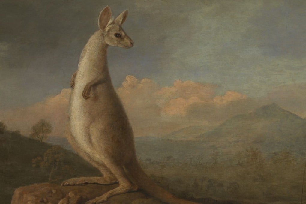 The Kongouro from New Holland (1772) by George Stubbs, commissioned after Captain James Cook returned from Australia with the word and pelts from the antipodean animal. Picture: National Maritime Museum