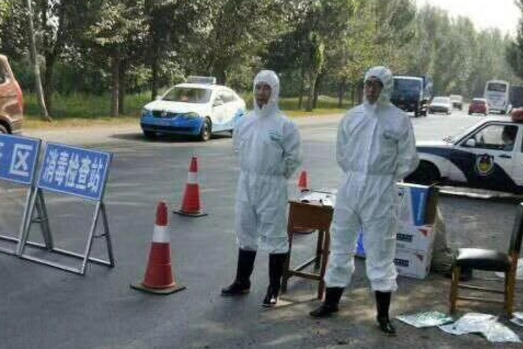 An outbreak of African swine fever has been reported in Shenyang, northeast China’s Liaoning province. Photo: Weibo