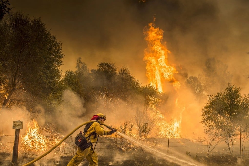 A firefighter works to limit a wildfire near the town of Igo in California on July 28. Photo: AP