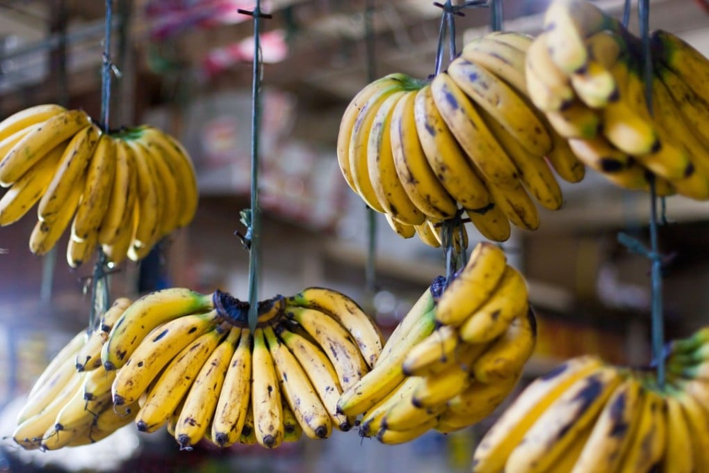 Fair Trade Hong Kong says bananas under the scheme would not be more expensive in the city.