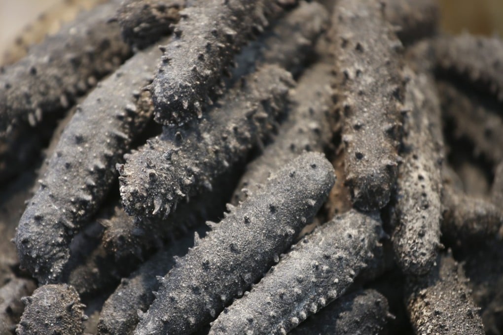 Uncooked sea cucumbers at a seafood store. Photo: David Wong