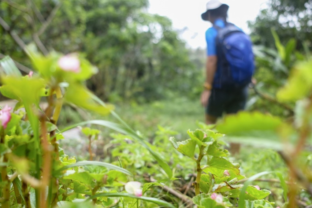 Hong Kong is home to 3,330 plant species, more than 100 of which are poisonous. Photo: James Wendlinger