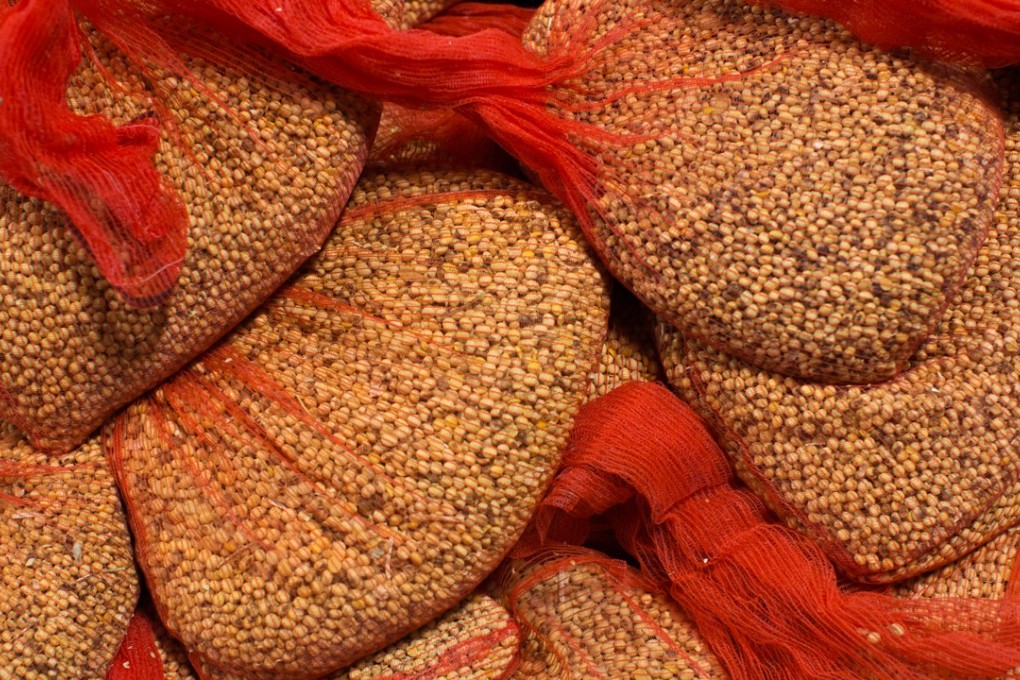 Brazilian farmers are swapping sugar for soybeans as demand from China soars because of its trade war with the US. Photo: Bloomberg