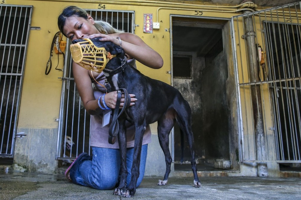 Zoe Tang has been a vocal champion of the dogs. Photo: Dickson Lee