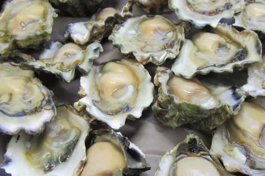 Sydney rock oysters are diminishing in size and numbers because of ocean acidification, says a study. Photo: Dr Susan Fitzer