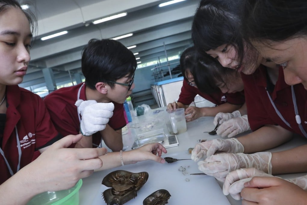 Secondary students visited the City University’s Sha Tau Kok Aquaculture Research Centre in August last year, as part of a summer programme organised by the university’s College of Veterinary Medicine and Life Sciences. Photo: Edward Wong