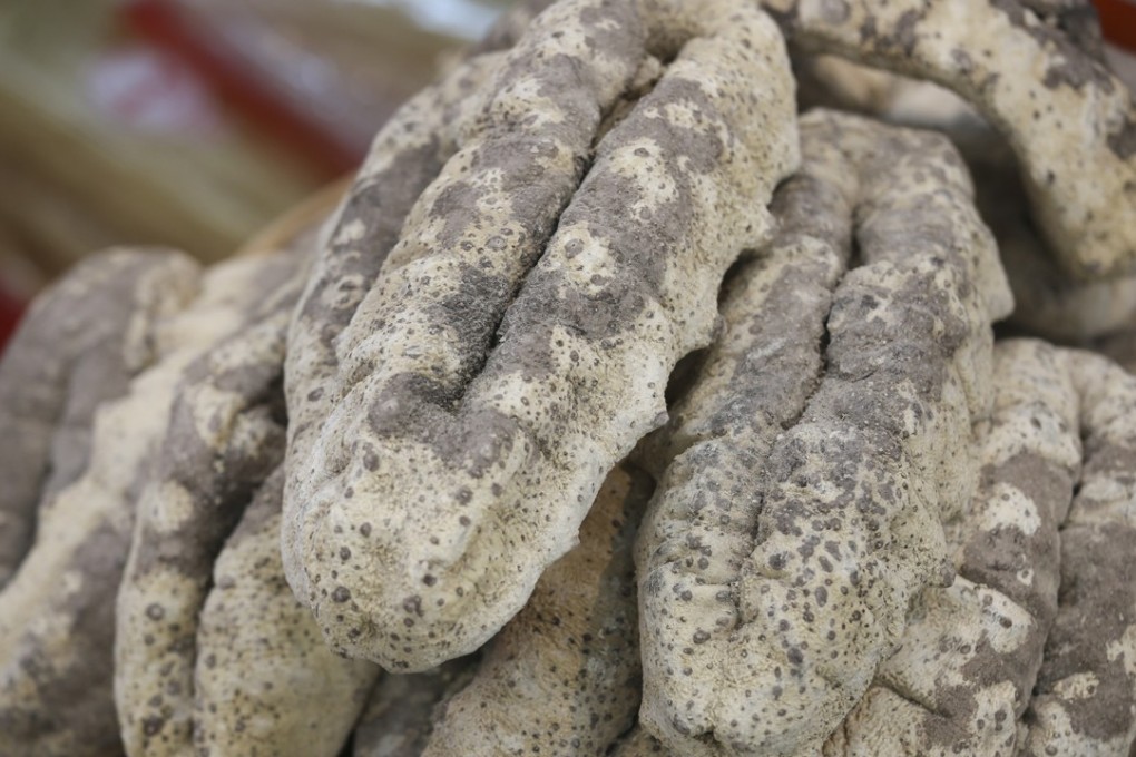 Japan exports of sea cucumbers totalled 22.9 billion yen (US$207 million) in 2017, with most of them shipped to Hong Kong and mainland China. File photo: David Wong