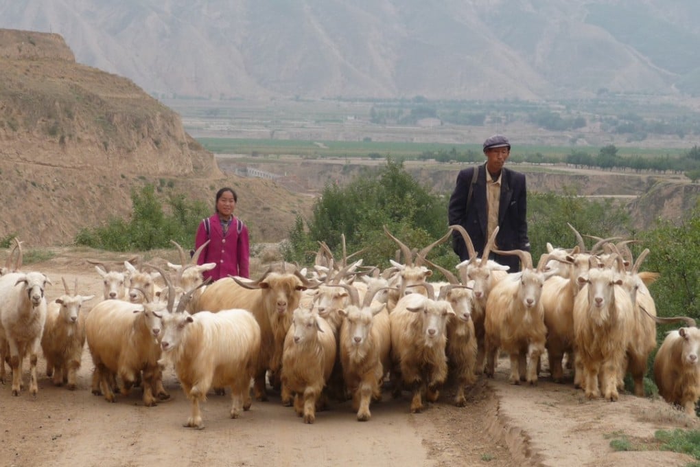 Gansu schoolgirl Ma Baijuan is one of the three people whose lives are chronicled in the Chinese documentary A Way Out. Photo: Handout