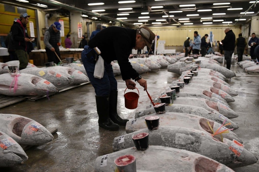 Access to the tuna auction for tourists will end on September 15. Photo: AFP