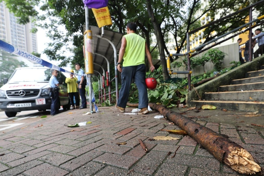 A woman was killed after being hit by a falling tree branch in Sau Mau Ping on Tuesday morning. Photo: Winson Wong