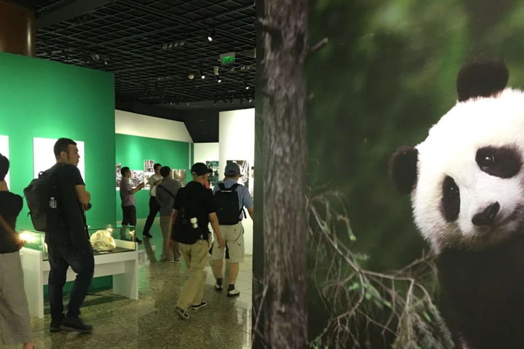 Visitors explore the China Giant Panda International Culture Week Exhibition in Beijing. Photo: Elaine Yau