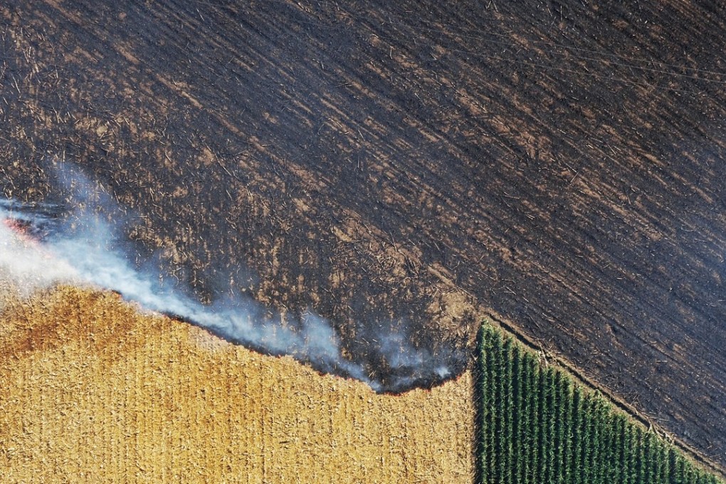 A picture taken by a drone shows straw being burned in a field in Hebei. Photo: ChinaFotoPress