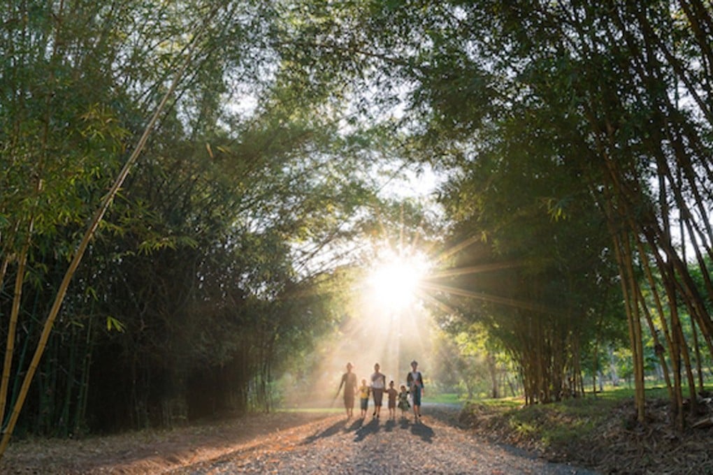 The Pha Tad Ke ethno-botanic garden in Luang Prabang, Laos, created by Dutchman Rik Gidella.