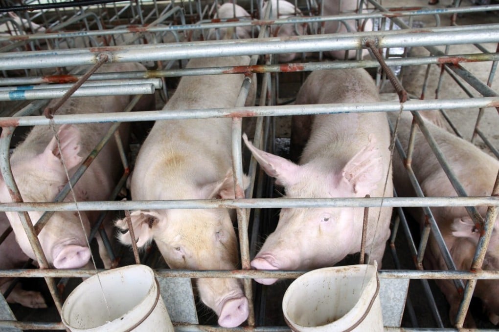 Pork is a staple on Chinese dinner tables. Photo: EPA
