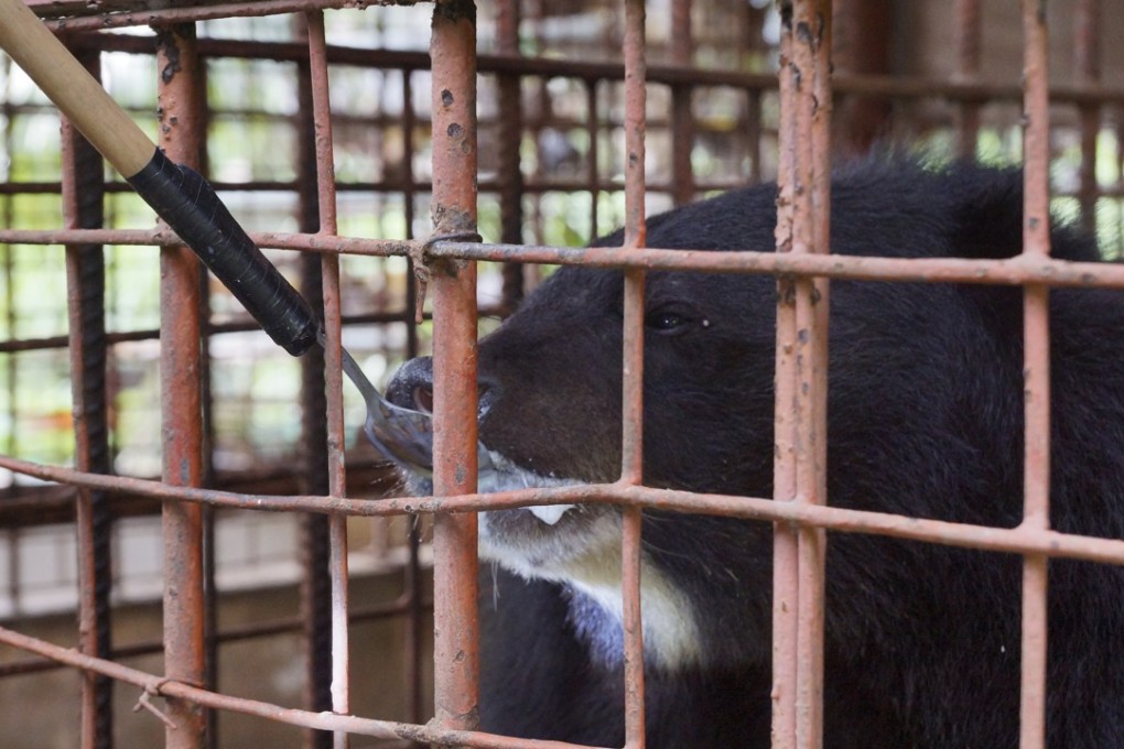 One of the moon bears called Kim is fed through the cage that the bear has called home for the last 21 years.