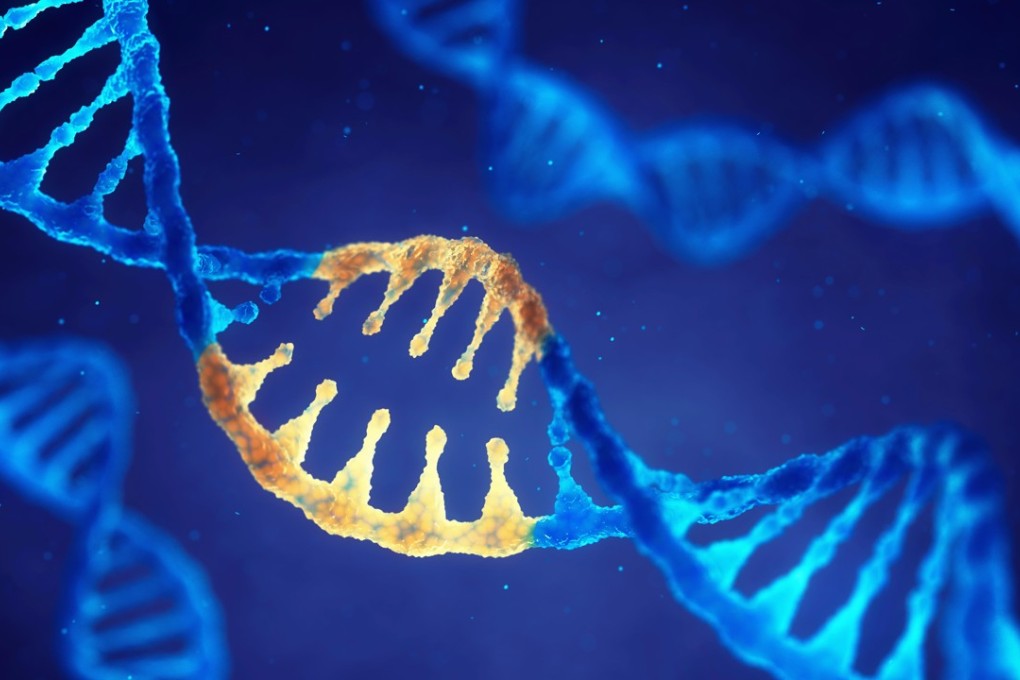 A group of Chinese scientists have used the base-editing technique to replace part of the DNA instead of the whole gene in human cells and embryos with a genetic mutation. Photo: Alamy