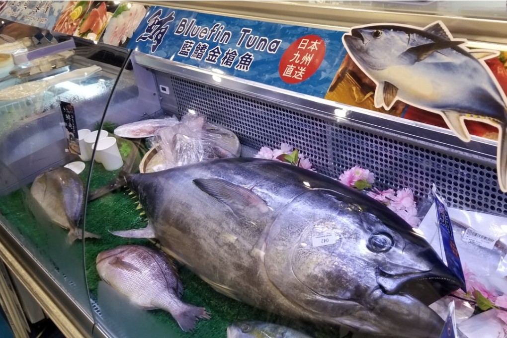 Although southern bluefin tuna is listed as critically endangered on the IUCN Red List of Threatened Species, one was on show at Seafood Expo Asia. Photo: Gary Stokes