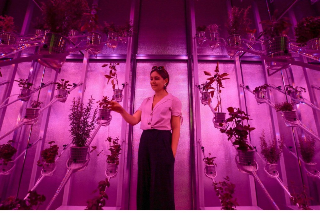 Power Plant by Dutch designer Marjan Van Aubel is part of the London Design Biennale at Somerset House in London. Photo: AFP