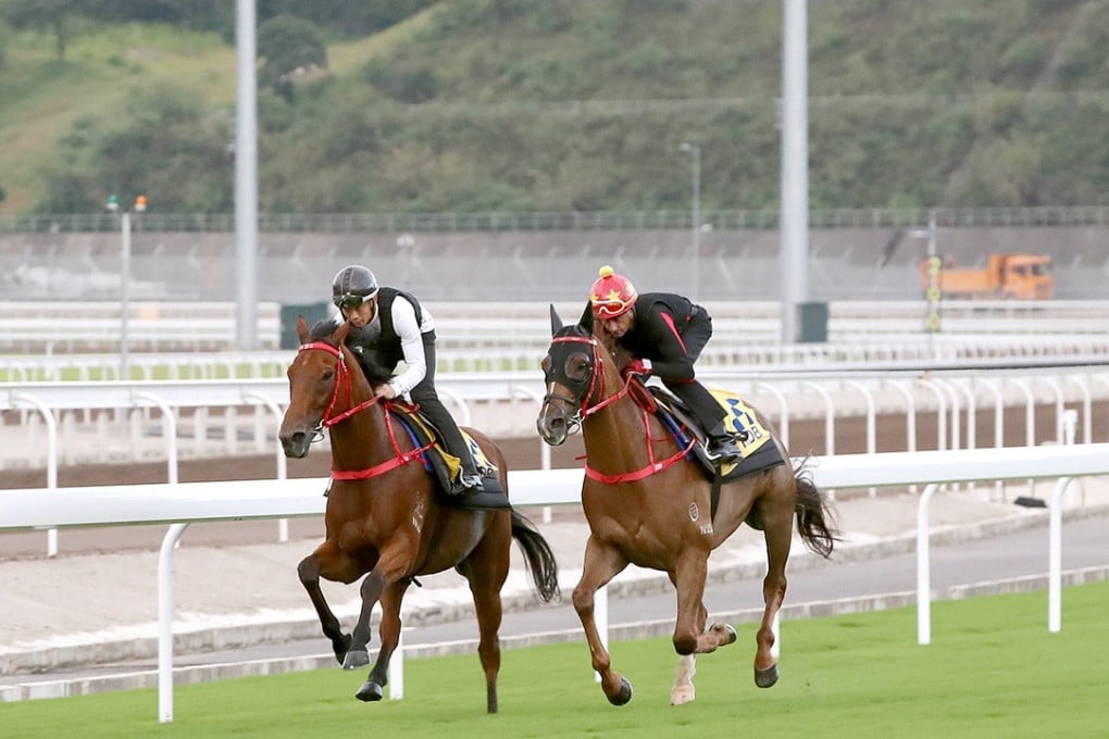 Deng Xiaoping promised that the horses would still run in Hong Kong. Now, Hong Kong racehorses are training across the border, in Conghua, and racing in Hong Kong. Photo: Handout