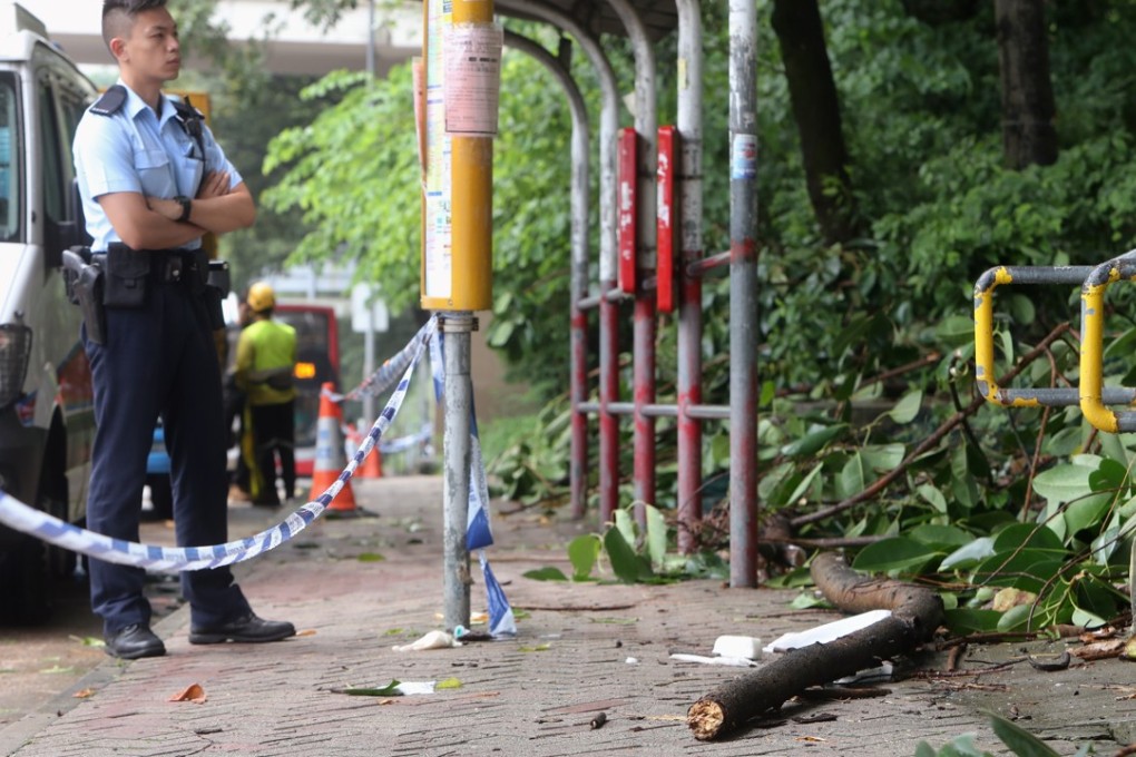 The 30kg branch of an Indian rubber tree killed domestic helper Jumiati Supadi last month. Photo: Winson Wong