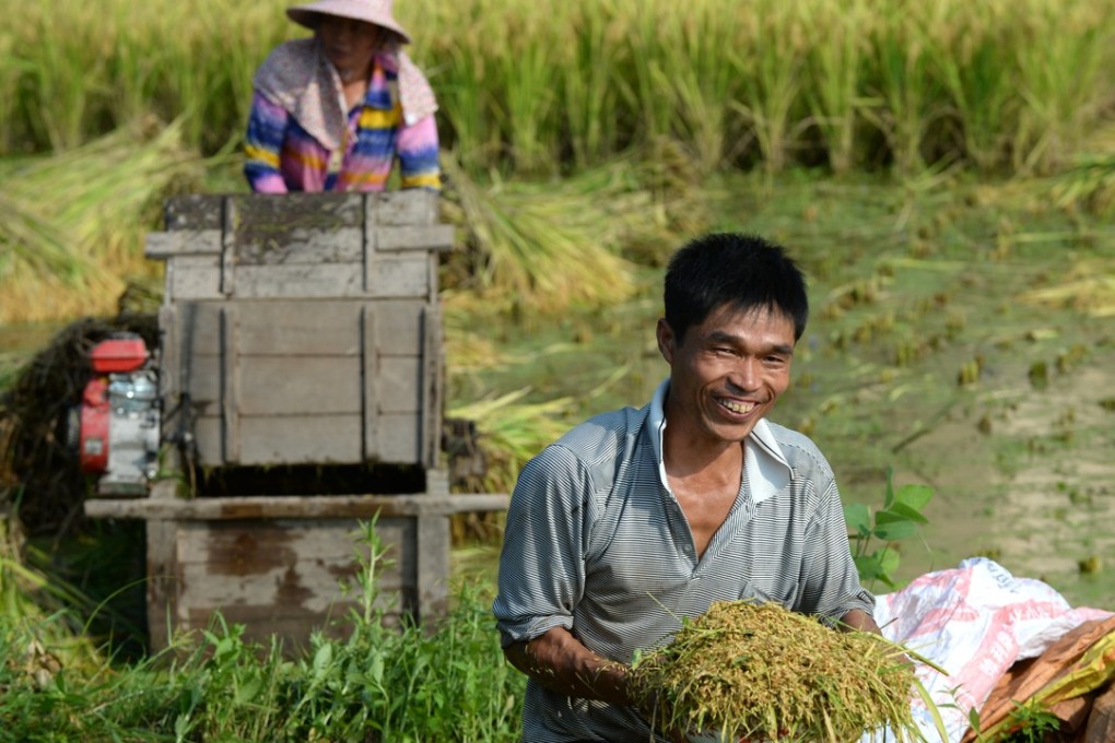 A rice paddy in Jiangxi province, China. Photo: Xinhua