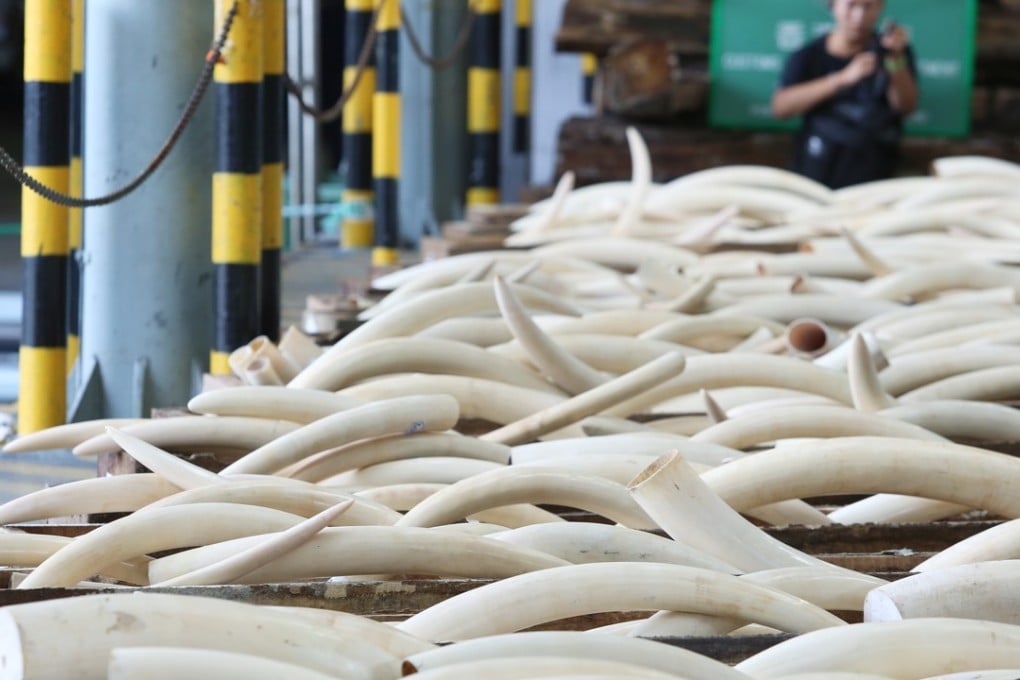 As many as 174 tonnes of parts from endangered species worth HK$58 million were seized in 522 cases from January to last month. Photo: SCMP