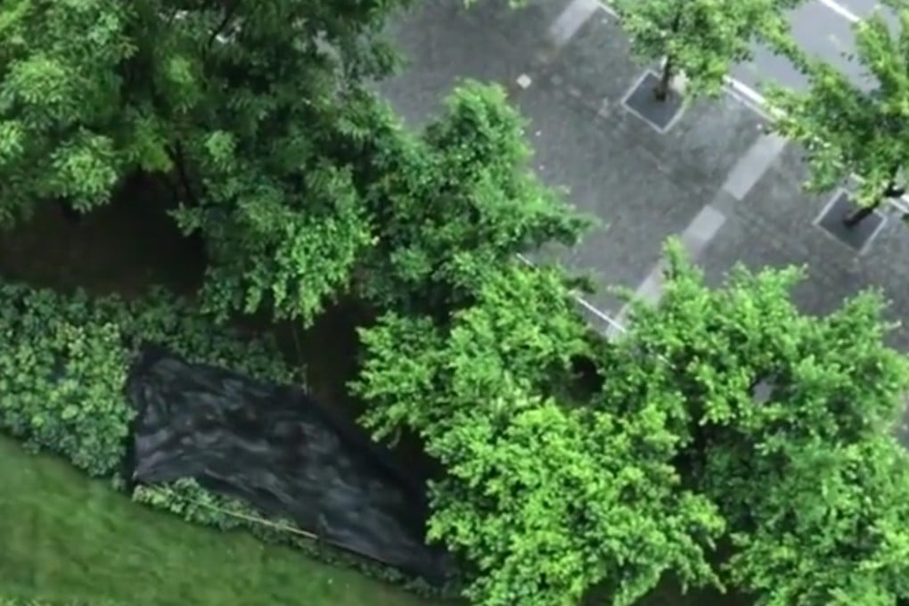 A black canvas covers the spot where the dog and cat were found dead beneath the block of flats. Photo: Pear Video