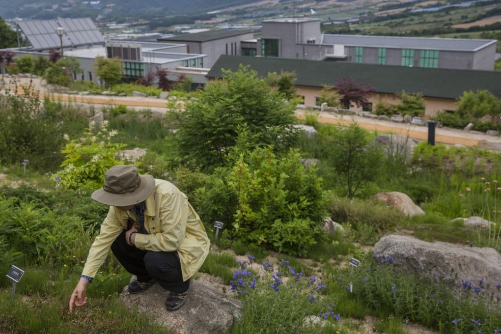 A Korea Forest Service researcher tends plants at the National DMZ Botanical Garden in South Korea. Pictures: Jonas Gratzer