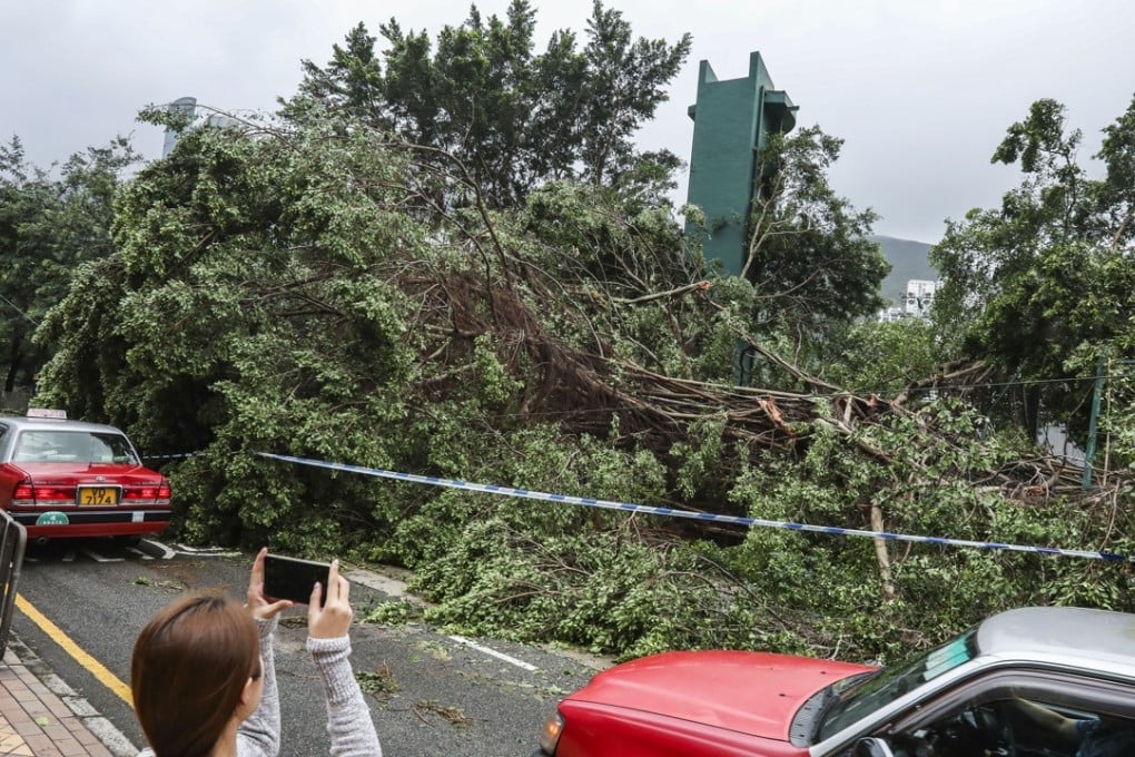 Fallen trees blocking Wong Nai Chung Road on Hong Kong Island. Photo: Nora Tam