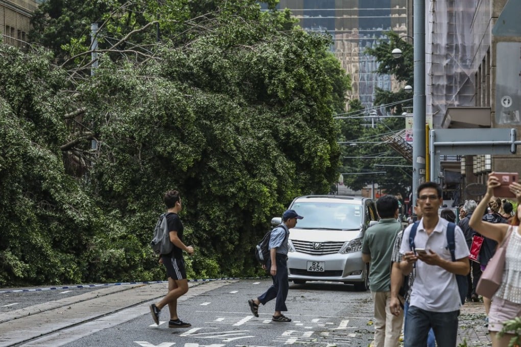 Broken trees cause roadblocks on Wong Nai Chung Road in Happy Valley after Typhoon Mangkhut hit Hong Kong on Sunday. The Transport Department said it aimed to clear major roads of obstacles on Tuesday. Photo: Nora Tam