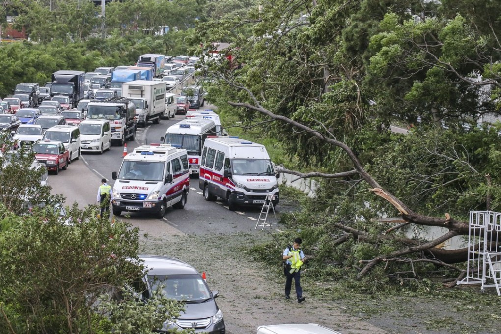 Trees felled by Typhoon Mangkhut the previous day block traffic on Kwai Chung Road on September 17. Photo: Felix Wong