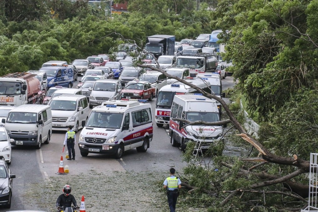 Fallen trees create roadblocks on Kwai Chung Road, the morning after Typhoon Mangkhut. Despite the trouble getting to work, it was the right thing to do. Photo: Felix Wong