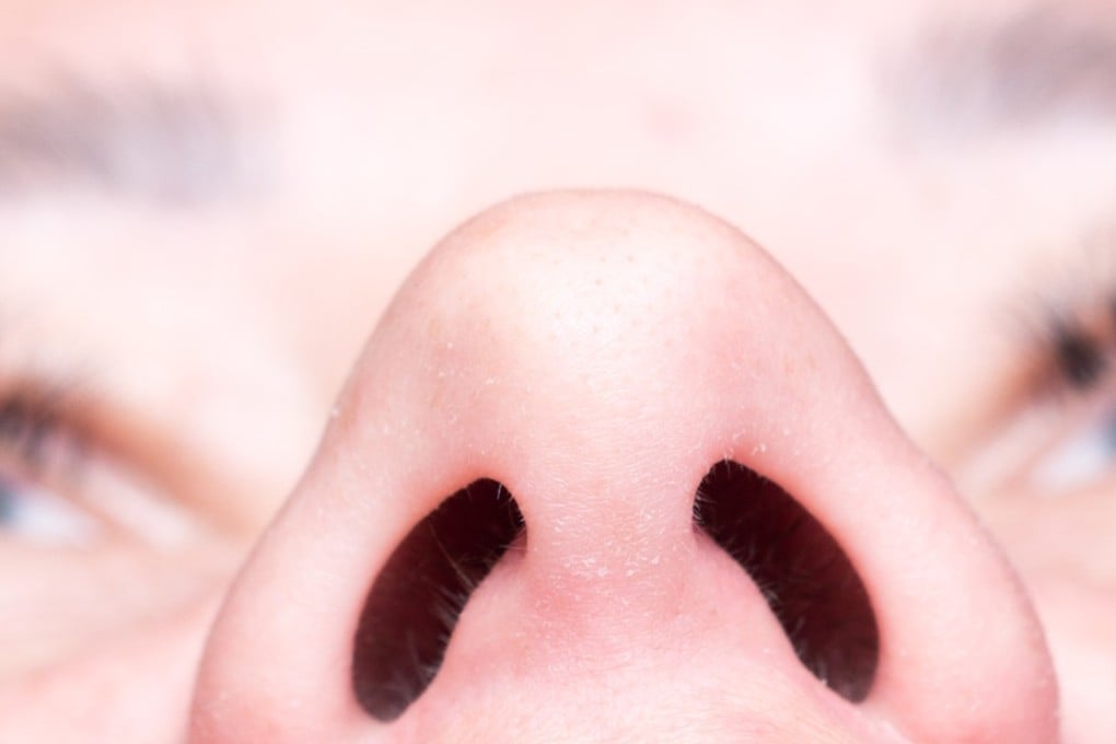 A nose is much more than something to smell with. Photo: Shutterstock