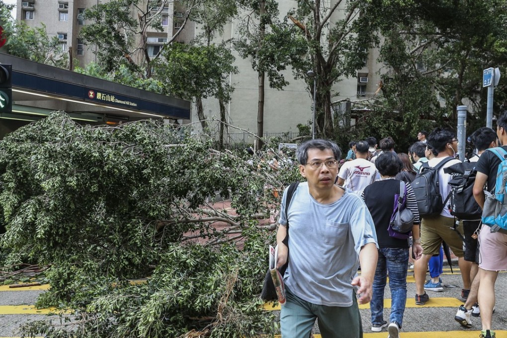 Commuters pick their way through fallen trees outside Diamond Hill MTR station on September 17, the morning after Typhoon Mangkhut tore through Hong Kong. Photo: Winson Wong