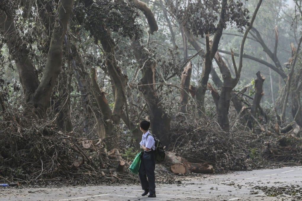 A schoolboy surveys the damage in the wake of Typhoon Mangkhut on Tin Ping Road in Sheung Shui on Thursday. The intense preparation before the typhoon struck helped Hong Kong limit the damage caused by the storm. Photo: Sam Tsang