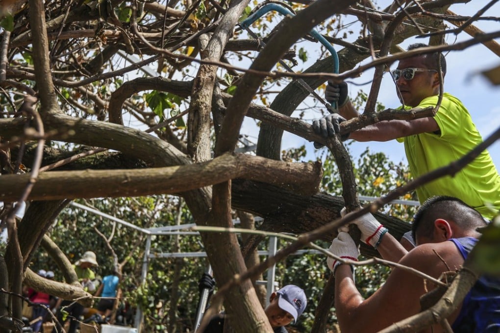 Shek O villagers and volunteers help to clean up fallen trees on September 22, a week after Typhoon Mangkhut hit Hong Kong. Photo: Xiaomei Chen