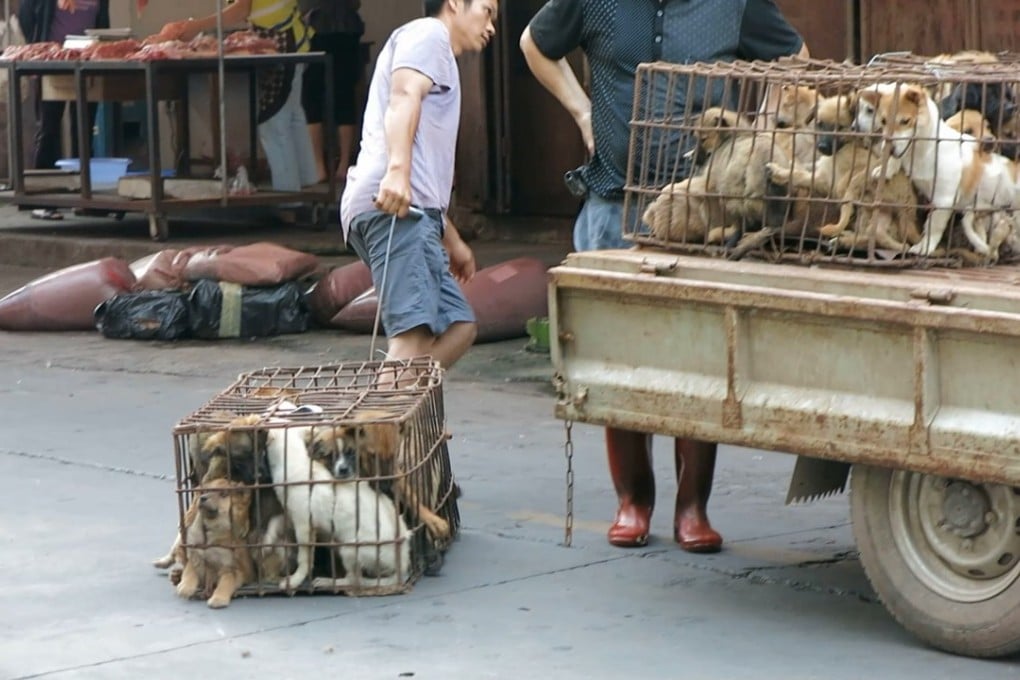 About 30 million dogs are slaughtered every year in countries including China, Vietnam, Thailand, Cambodia and Japan. Photo: Handout